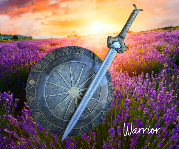 Sword and Shield - Kingdom Community for Women Warriors